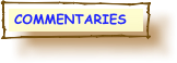  COMMENTARIES