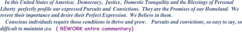   In this United States of America;  Democracy,  Justice,  Domestic Tranquility and the Blessings of Personal Liberty  perfectly profile our expressed Pursuits and  Convictions.  They are the Promises of our Homeland.  We revere their importance and desire their Perfect Expression.  We Believe in them.  
    Conscious individuals require those conditions to thrive and grow.    Pursuits and convictions, so easy to say, so difficult to maintain (JH)   ( REWORK entire commentary)  